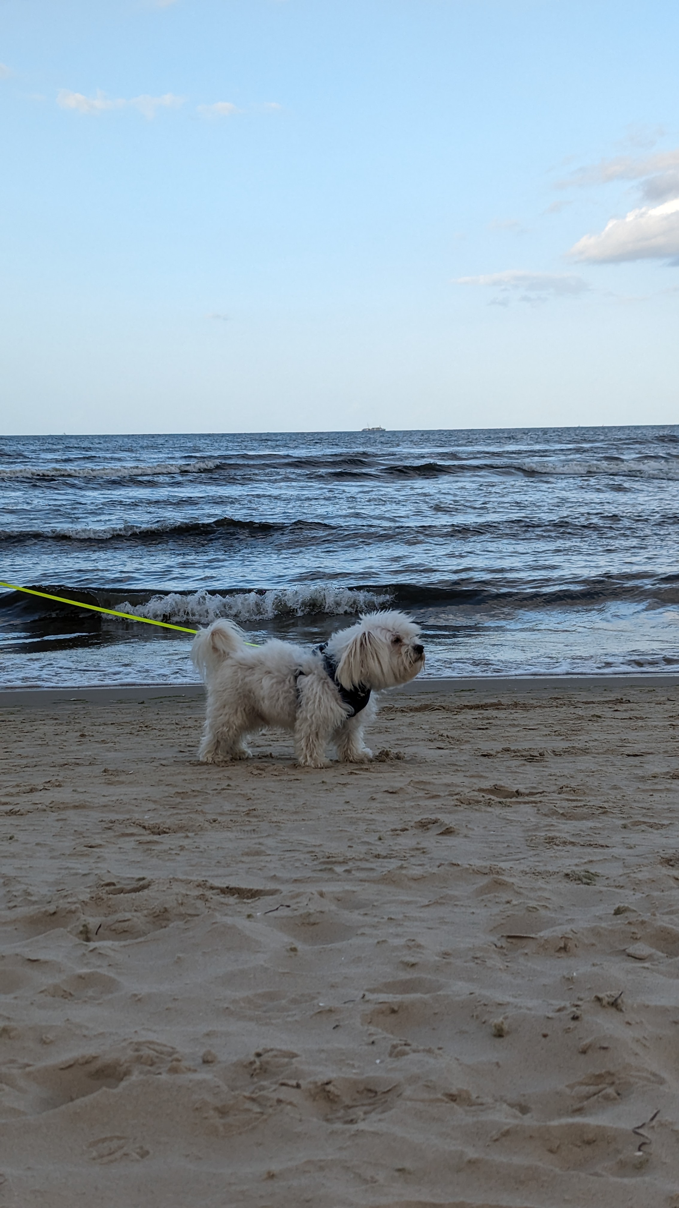 Am Strand von Swinemünde