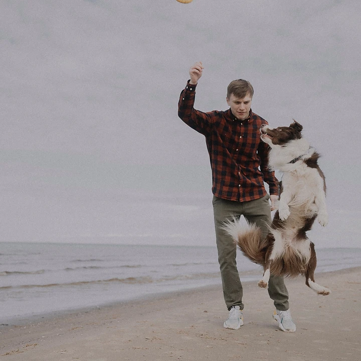 Spielzeug für Hund am Strand