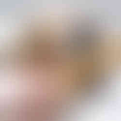 Hund schnappt das Hundecroissant von Carnello