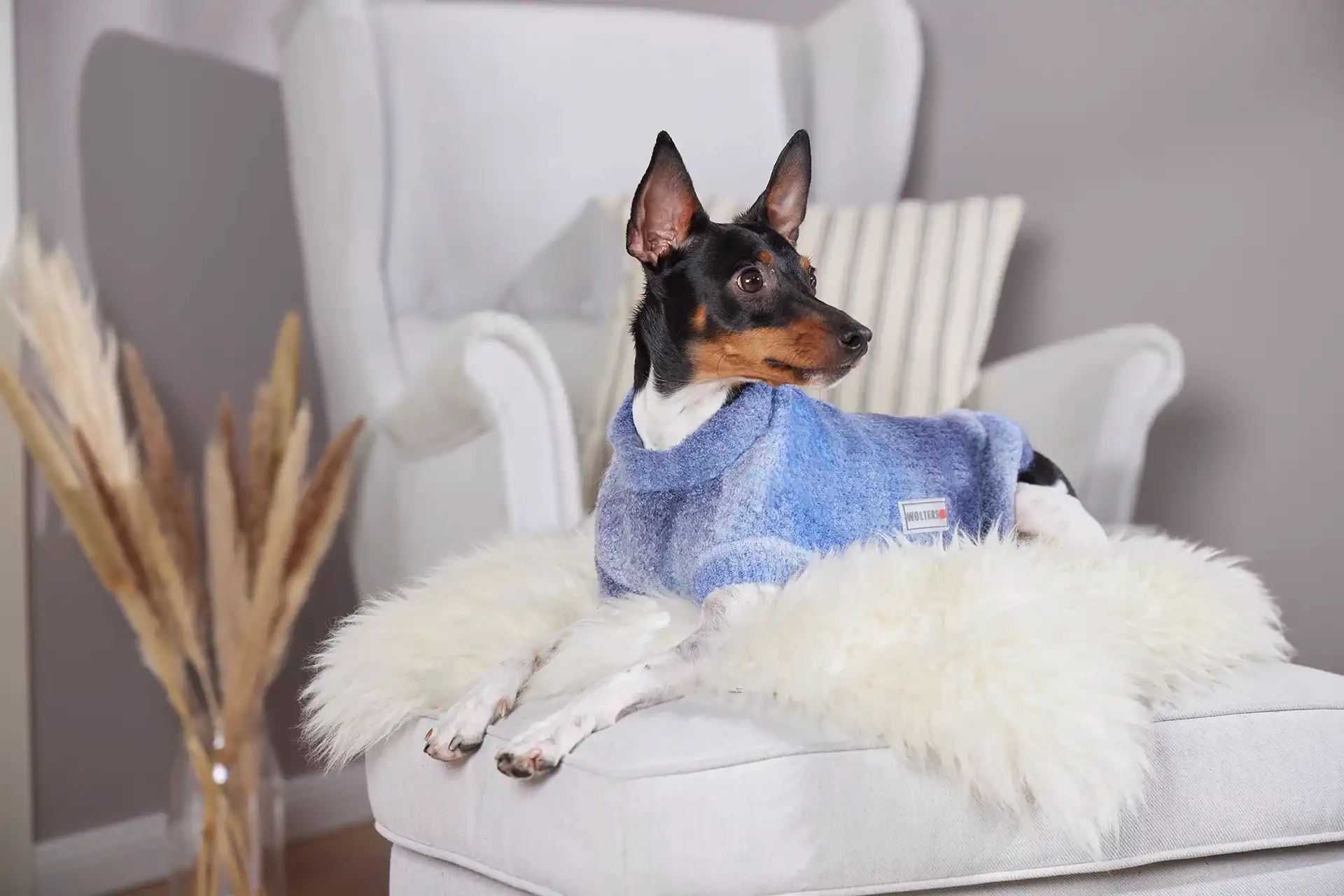 WOLTERS Hundepullover Sky Strickpullover für Hunde