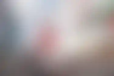 Weißer Hund trägt Hundegeschirr von Hurrta
