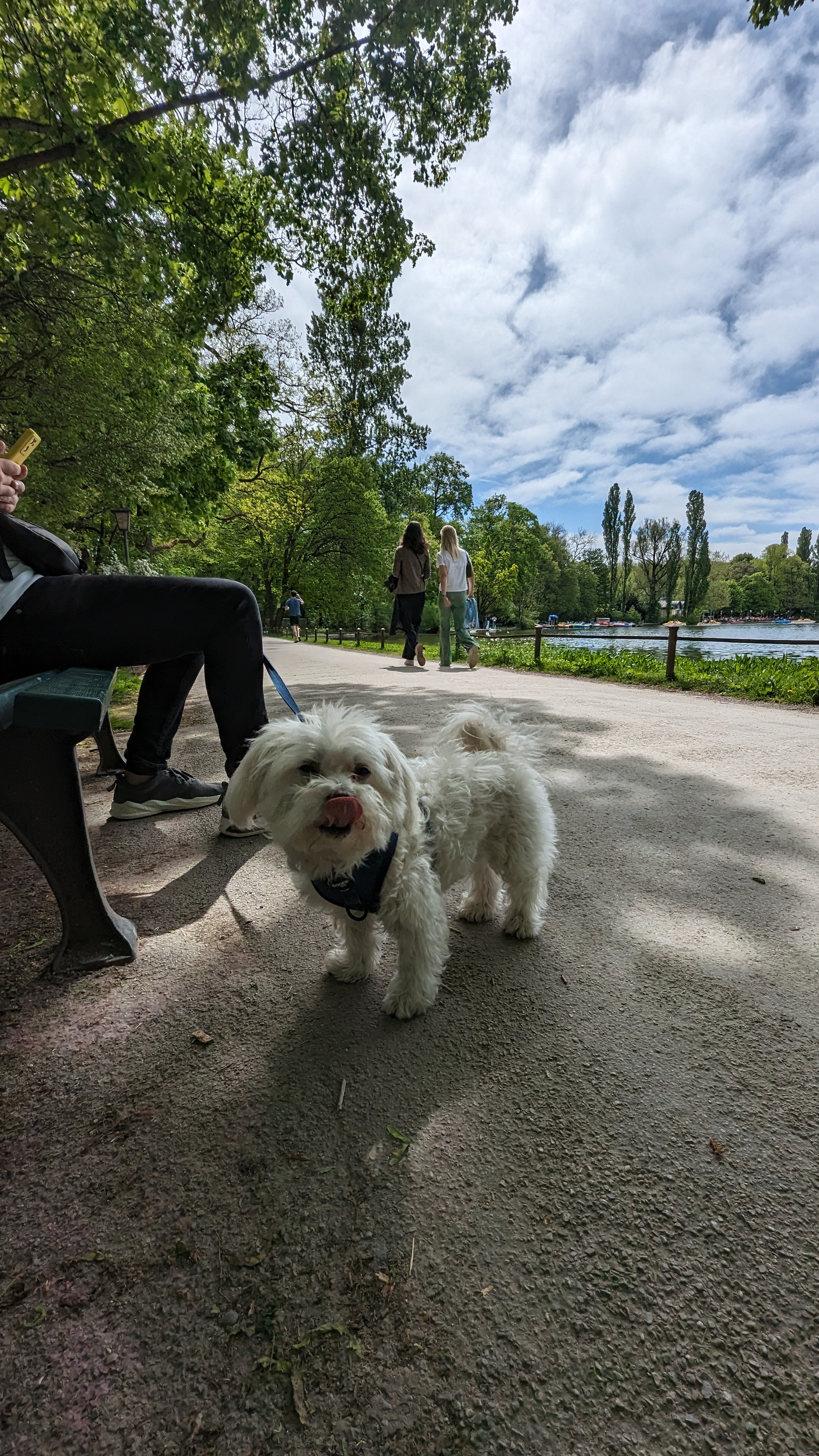 Englischer Garten München