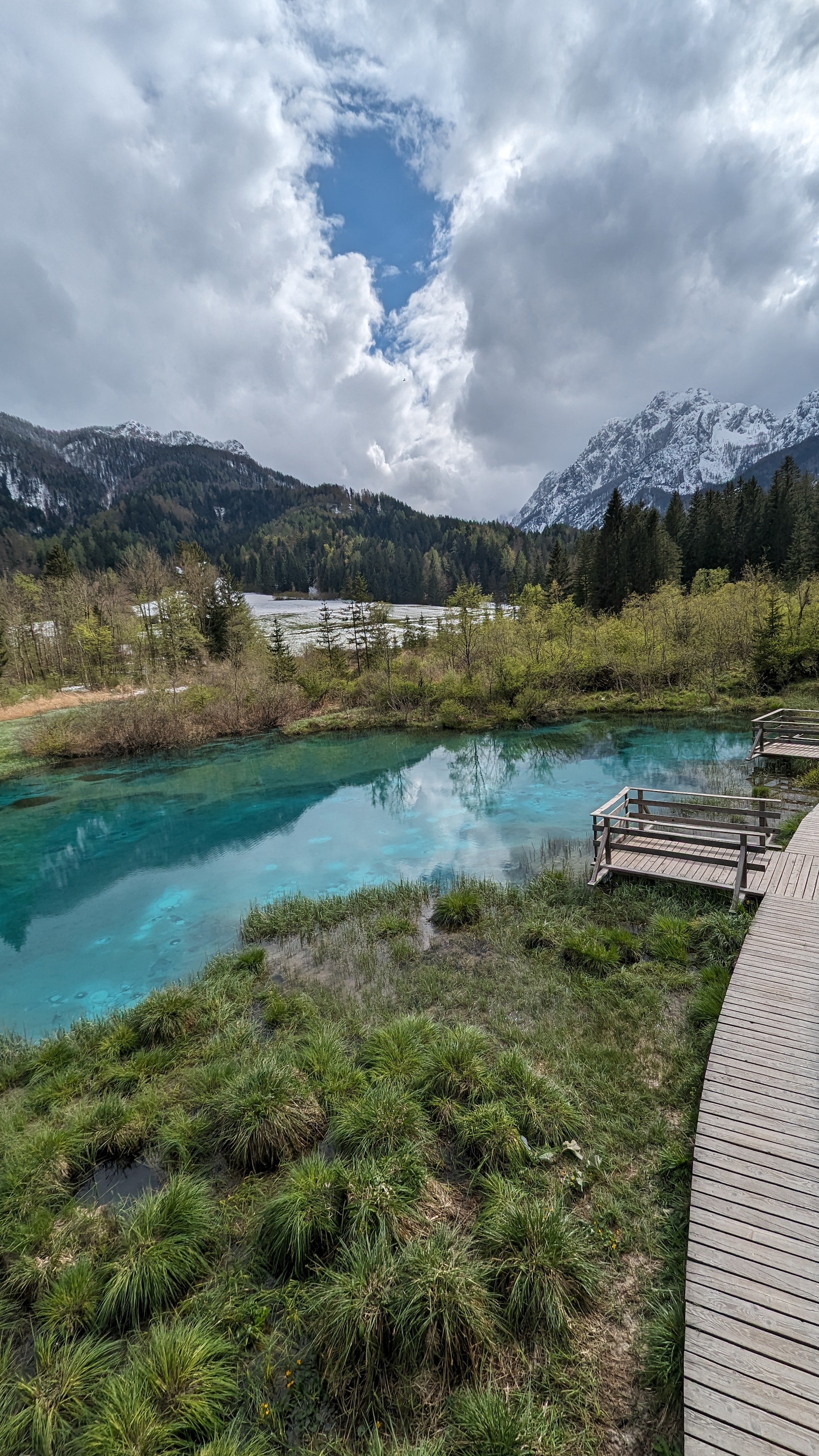 Zelenci, Sava Dolinka Spring