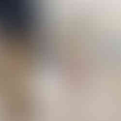 Ein Golden Retriever trägt die Tauleine in Beige auf einer Hundeprämierung