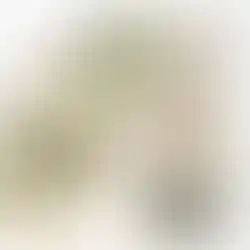 Verschiedene Anti Schlingnäpfe von Pawness