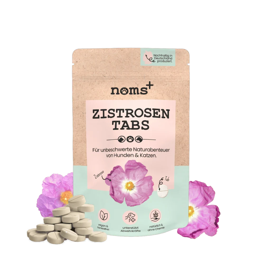 Noms+| Zistrosen Tabs für die natürliche Unterstützung zur Hautabwehr für Hunde