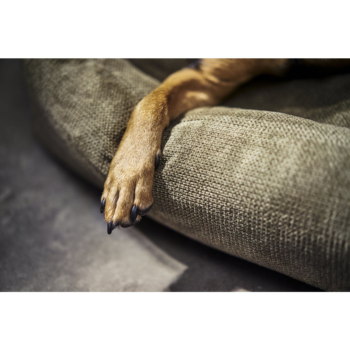 LABONI | Hundebett | Hundesofa Tudor | Olive | verschiedenen Größen