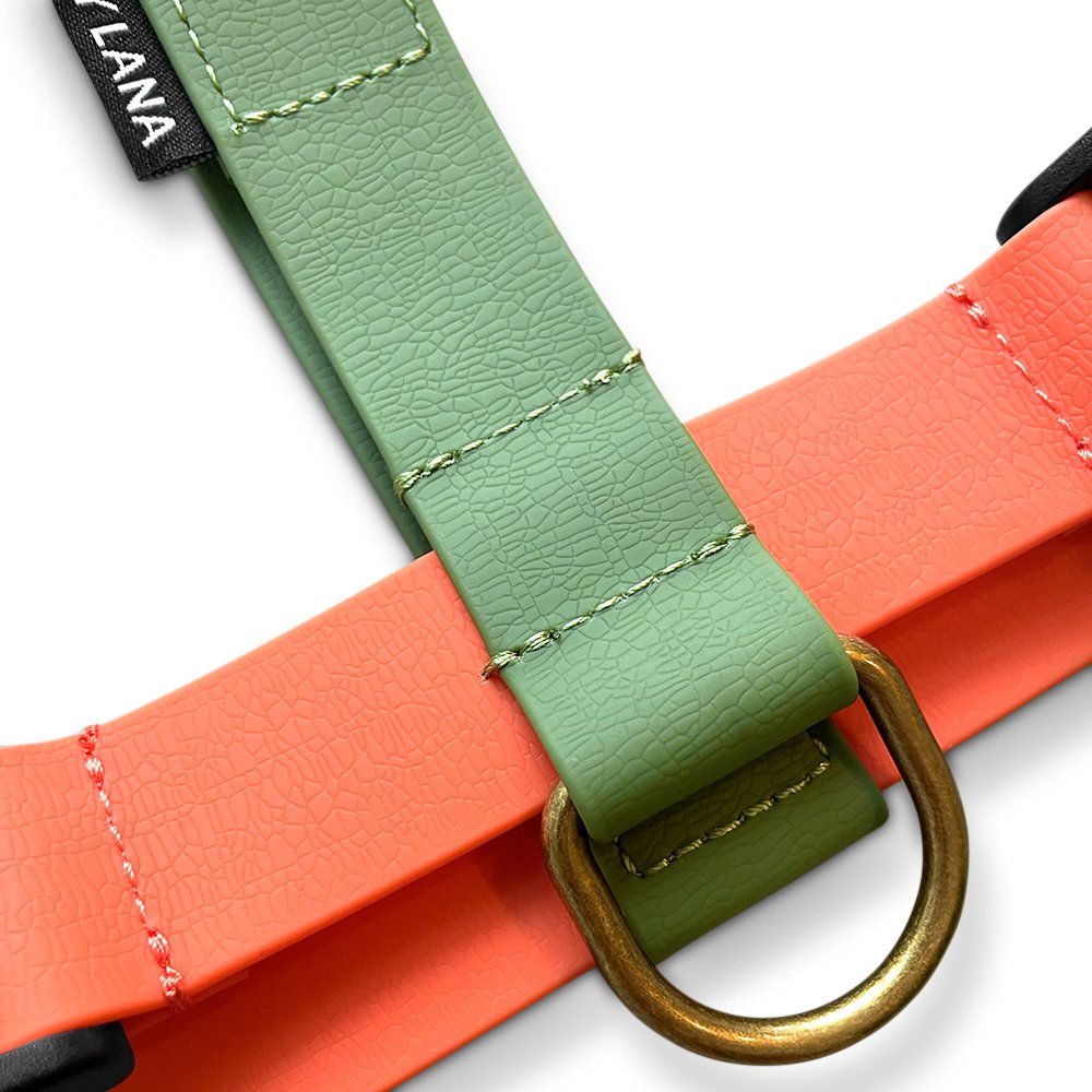 Hey Lana | Biothane Hundegeschirr