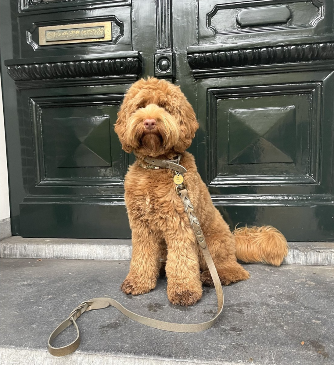 Cooper & Quint | Hundeleine | Leder Hundeleine | Twisted | Stone