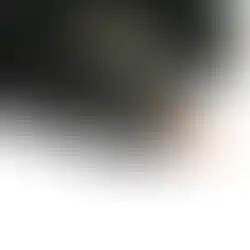 Etikett mit Lieblingspfote Logo