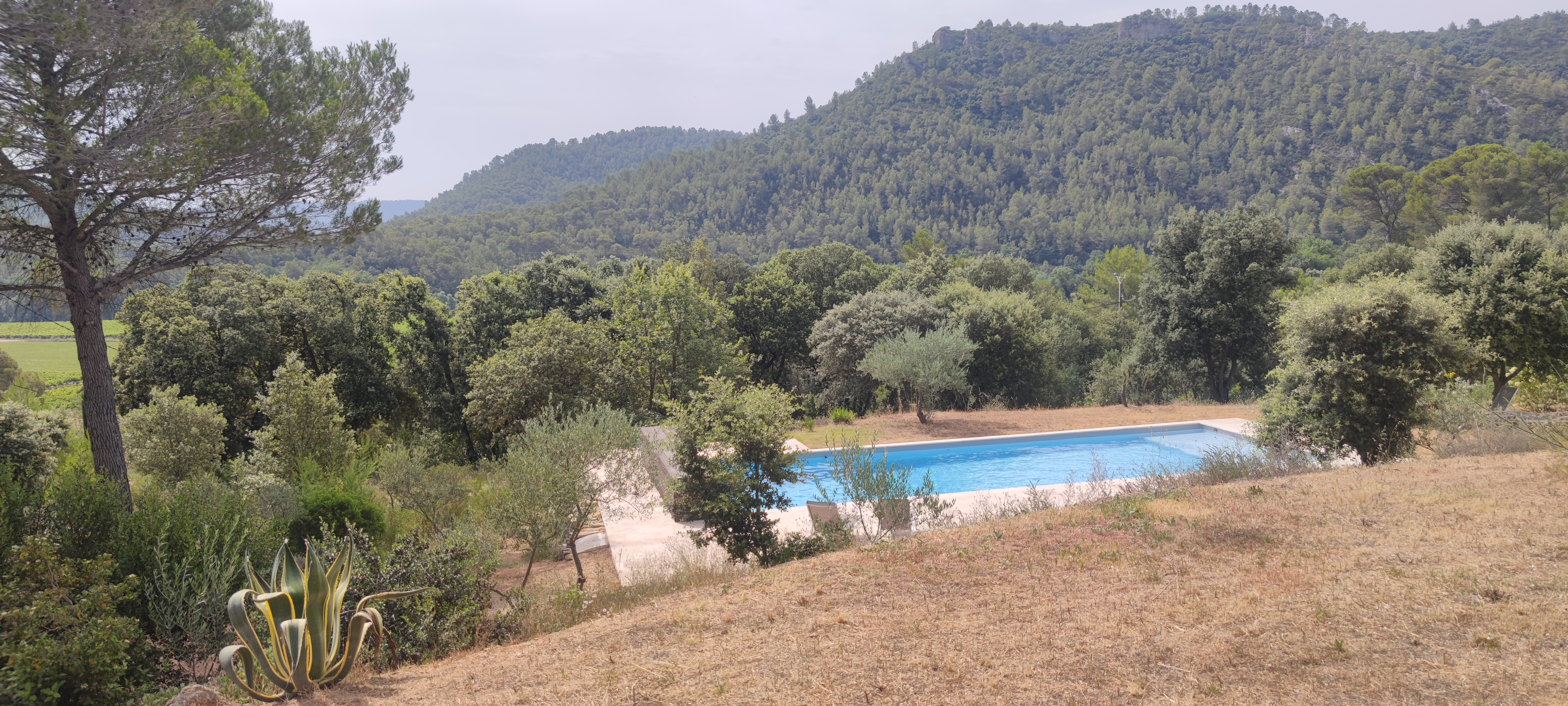 salzwasserpool