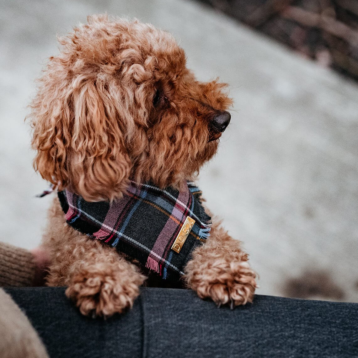 DOGA | Hunde-Bandana | Lila Tartan | verschiedene Größen