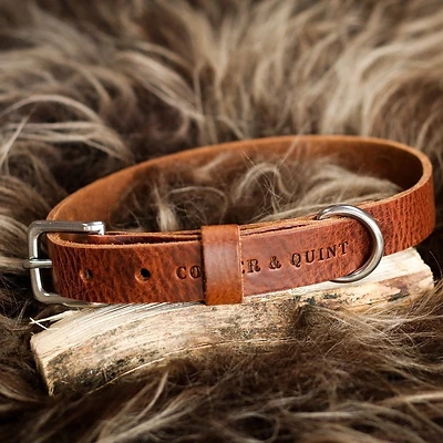 Cooper & Quint | Hundehalsband | Lederhalsband Hund | Braun & Silber