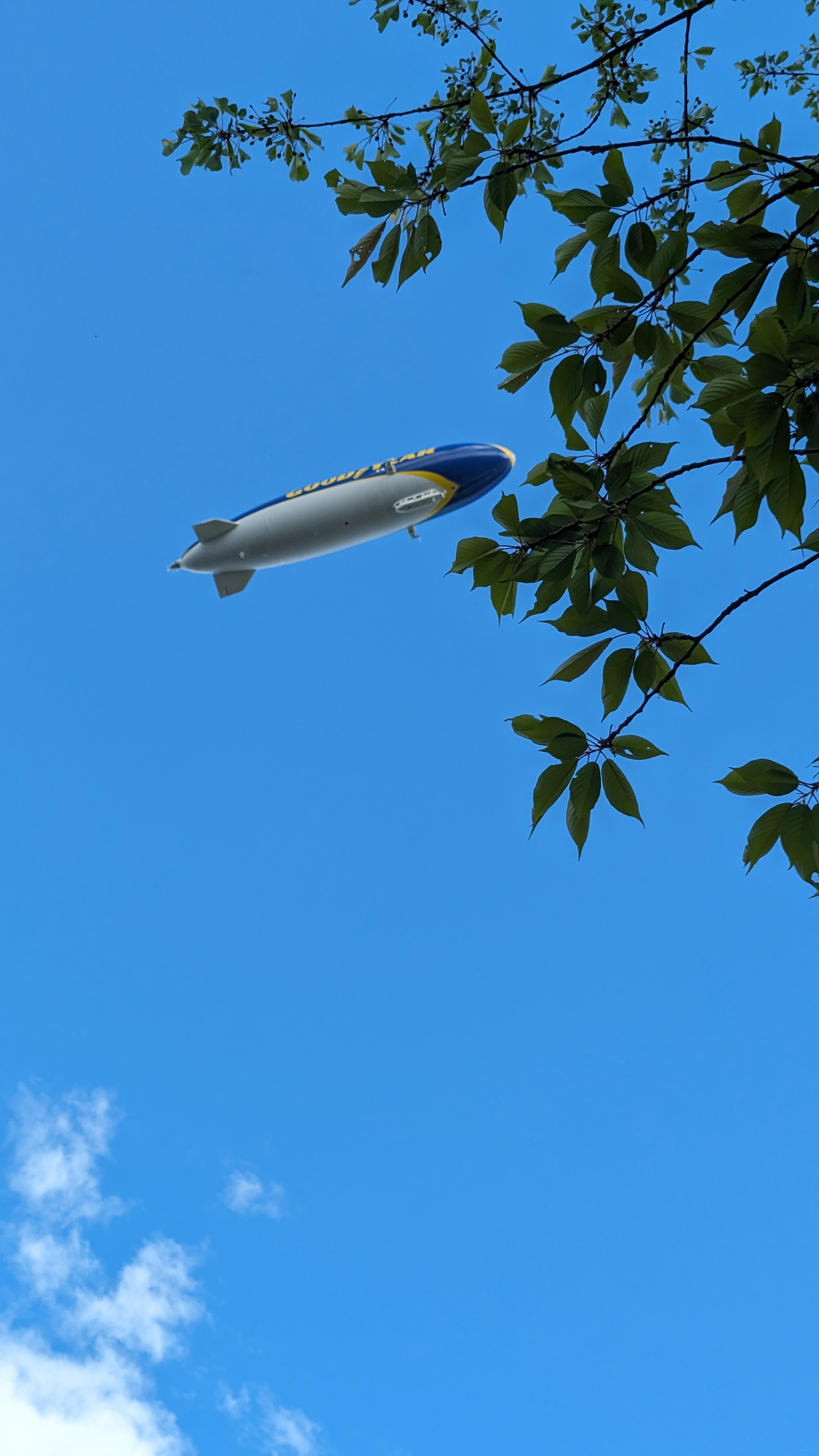 Zeppelin
