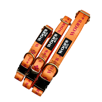 Woofs & Co. Hundehalsband Klee Orange Kollektion