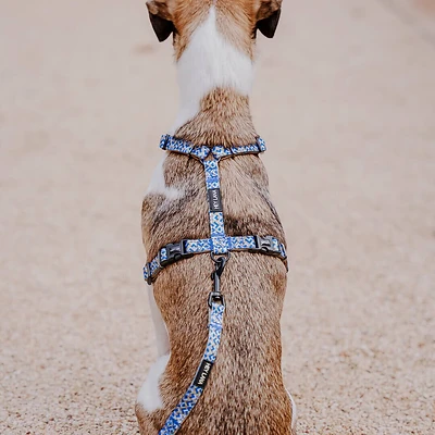 Hey Lana | Führgeschirr | Hundegeschirr in Mocca & Blau