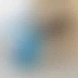 Hund frisst aus Packung Hundetrockenfutter Lachs