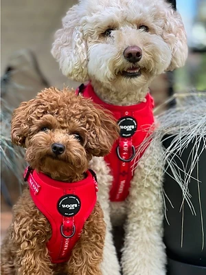 Woofs & Co. | Hundegeschirr