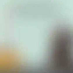 Anwendung des Premium Schwarzkümmelöls für Hunde von Noms+