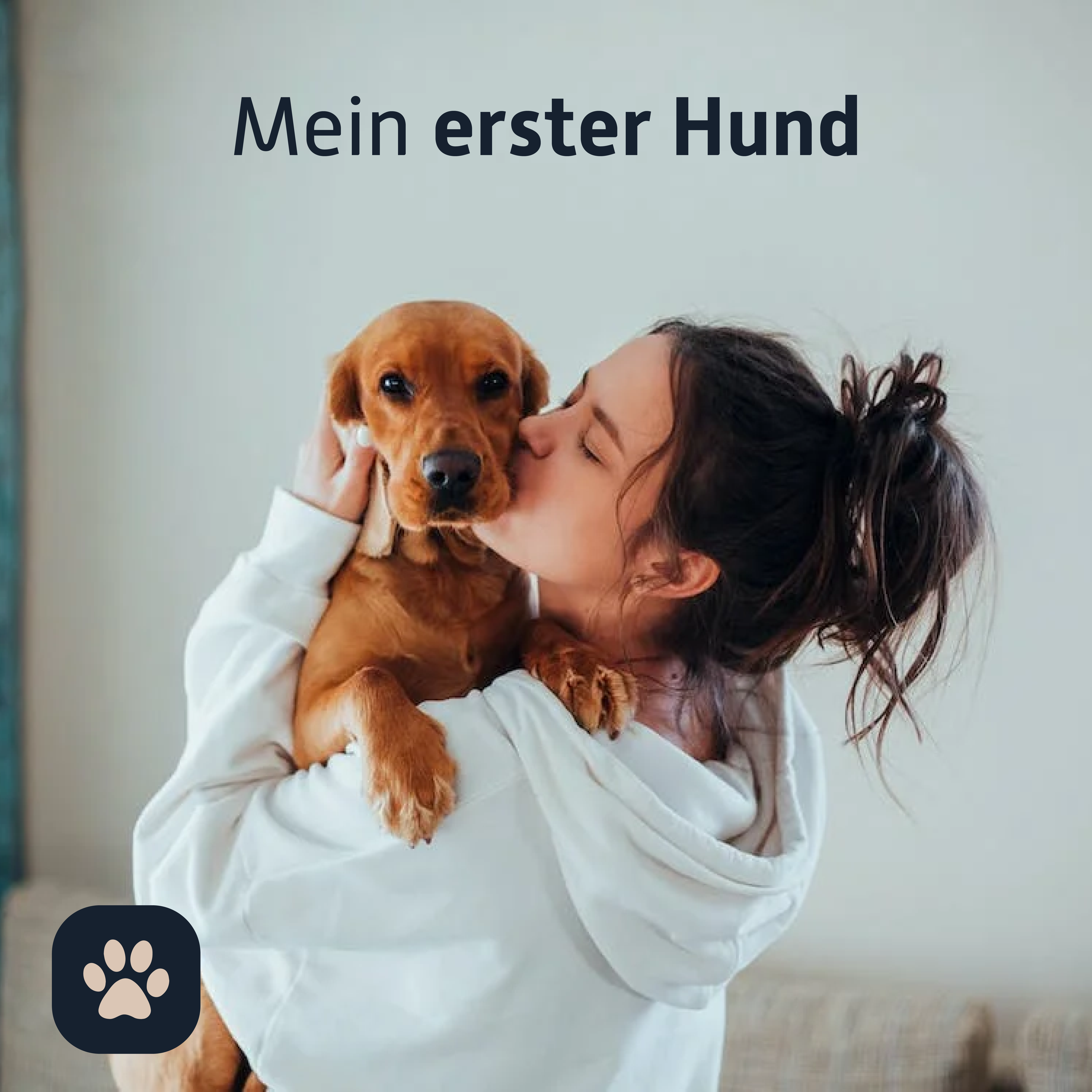 Mein erster Hund – die Hunde Erstausstattung Checkliste