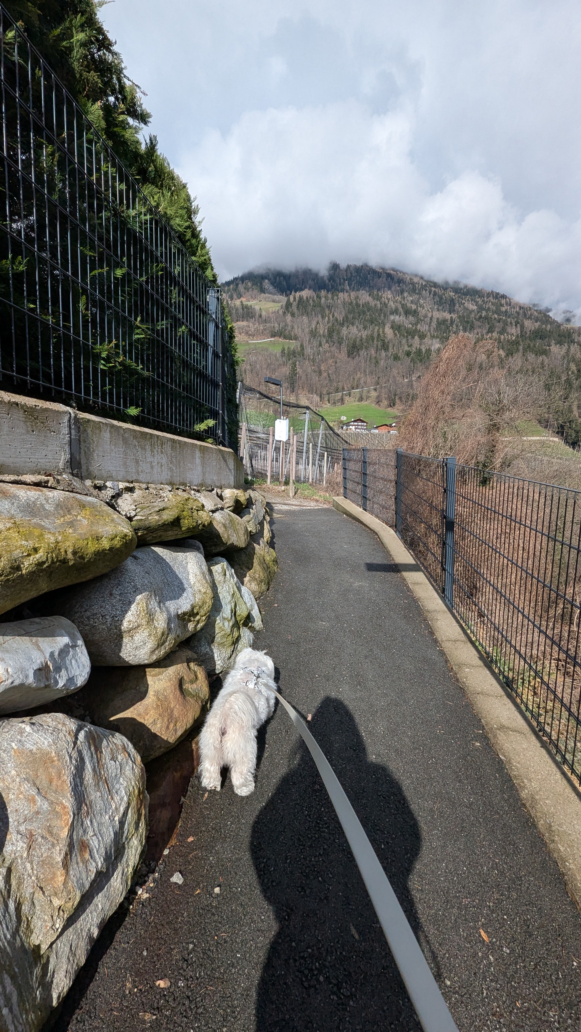 Gassirunde Panoramaresidence Saltauser Hof