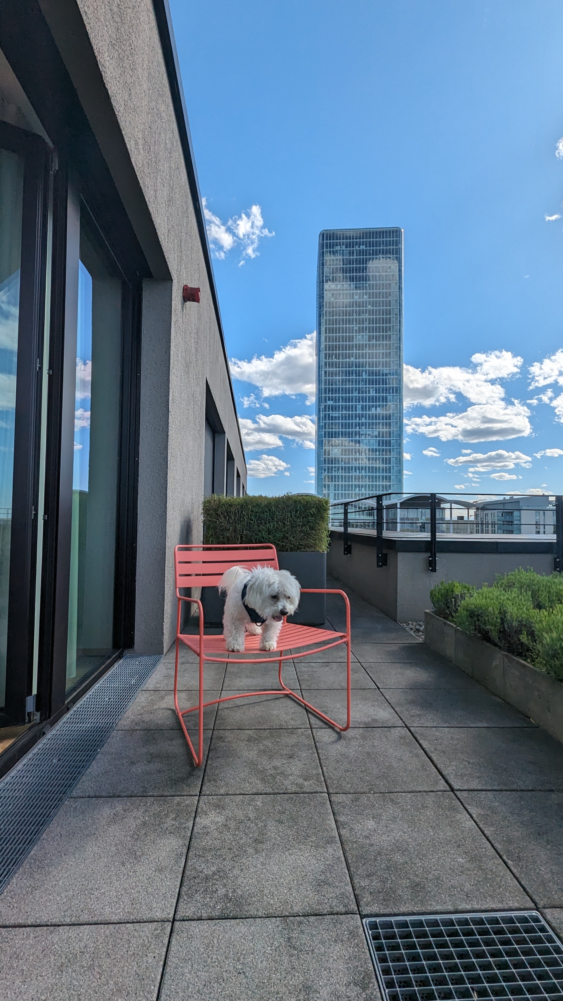 Balkon mit Stühlen der Suite