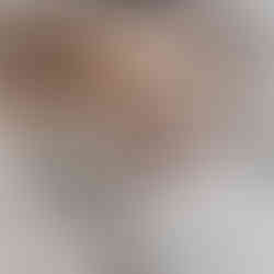 Hundepfoten liegen auf der Tauleine von Cooper & Quint