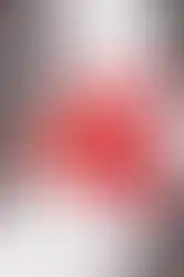 Detail Foto Hund trägt Hundegeschirr von Hurrta