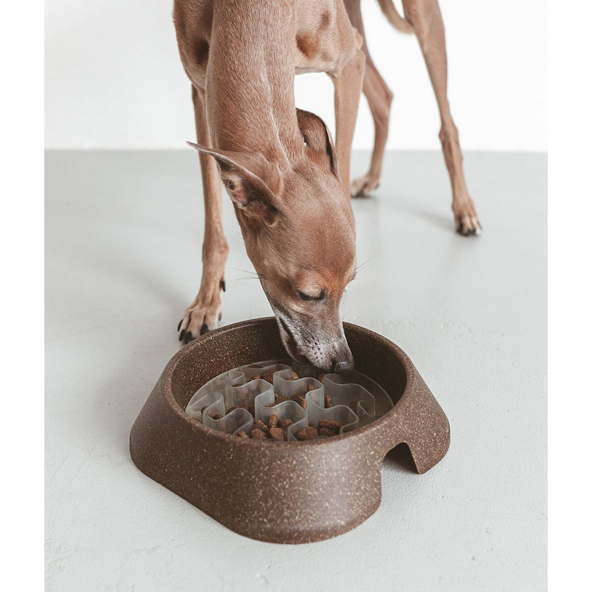 Cafide | Hundefutternapf | Biokunststoff | Nachhaltig | Plastikfrei
