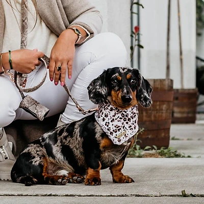 DOGA | Hunde-Bandana | Leopard Braun | verschiedene Größen