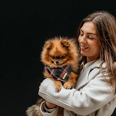 DOGA | Hunde-Bandana | Lila Tartan | verschiedene Größen