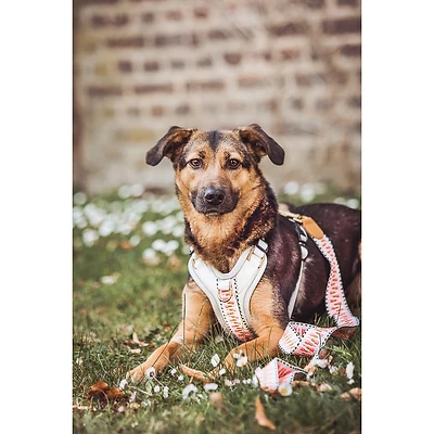 Hey Lana | Premium Hundegeschirr | Führgeschirr Pink | Große Hunde