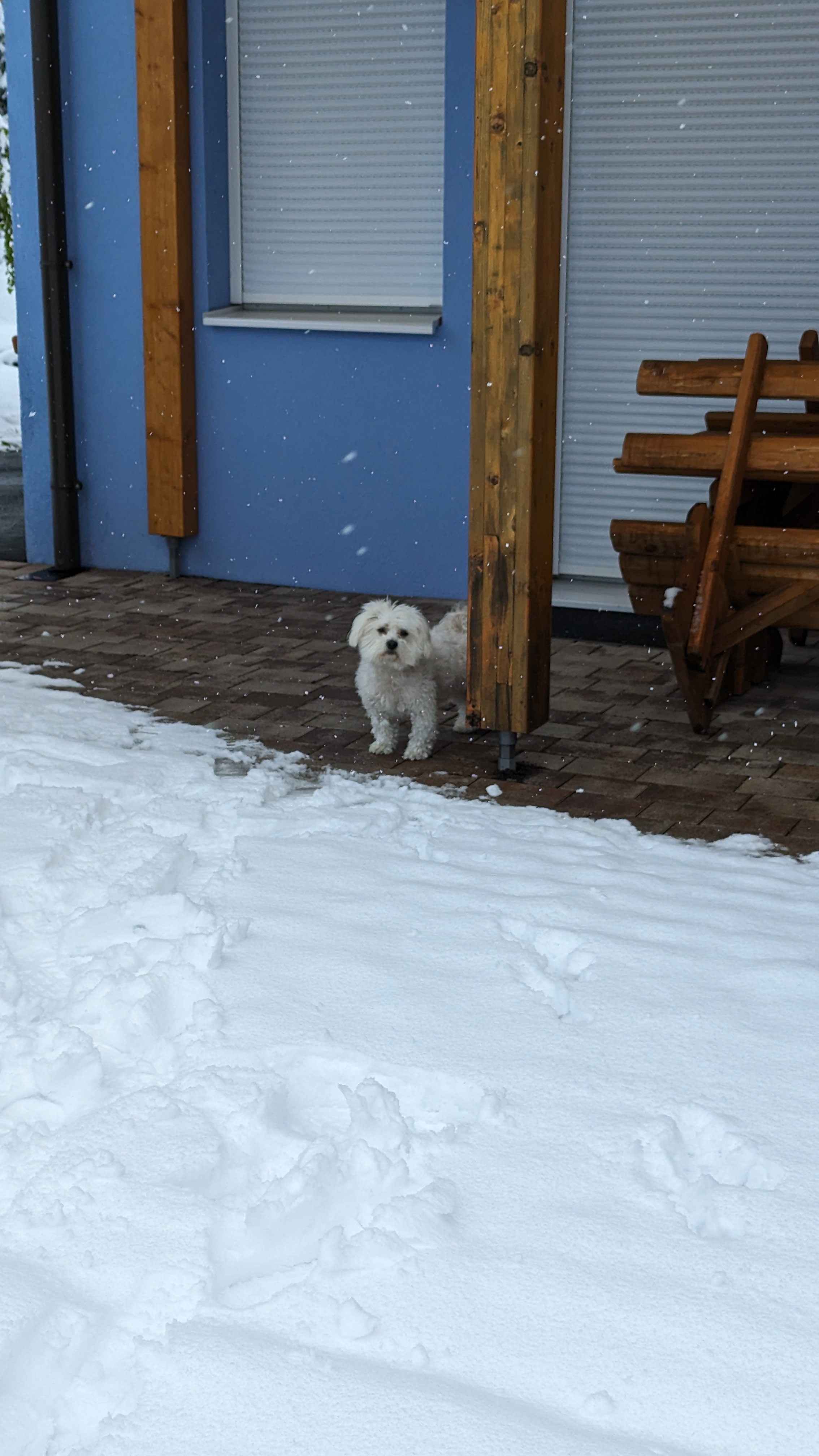 Schnee über nacht 