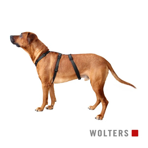 WOLTERS Hundegeschirr für ängstliche Hunde Professional No