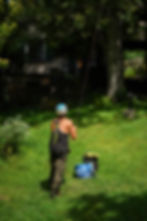 Baumfäller arbeitet an einem Baum, umgeben von grünem Gras. Baumfällung im Freien. SKT Performance.