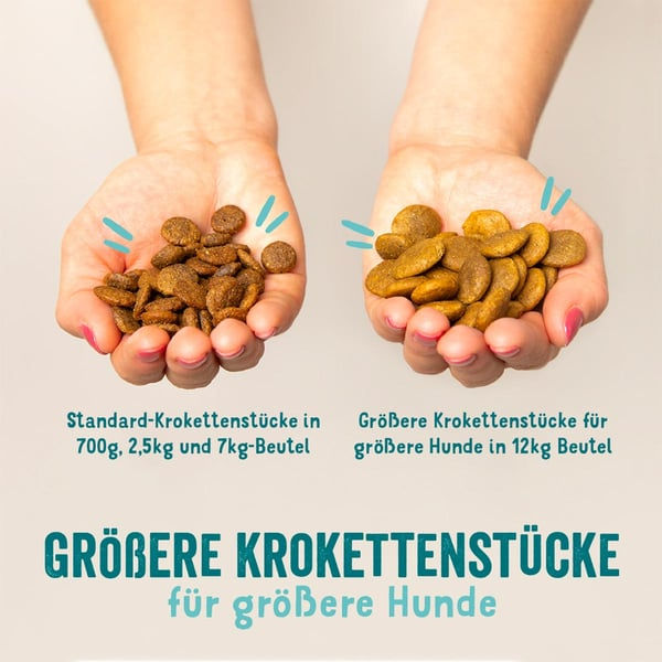 Edgard & Cooper | Hundefutter | Lachs | 700 g
