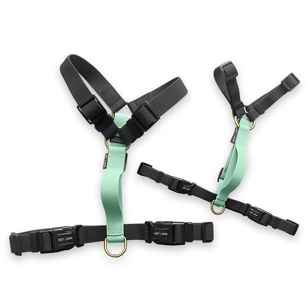 Hey Lana | Hundegeschirr | Führgeschirr | Outdoor | 5-fach-verstellbar