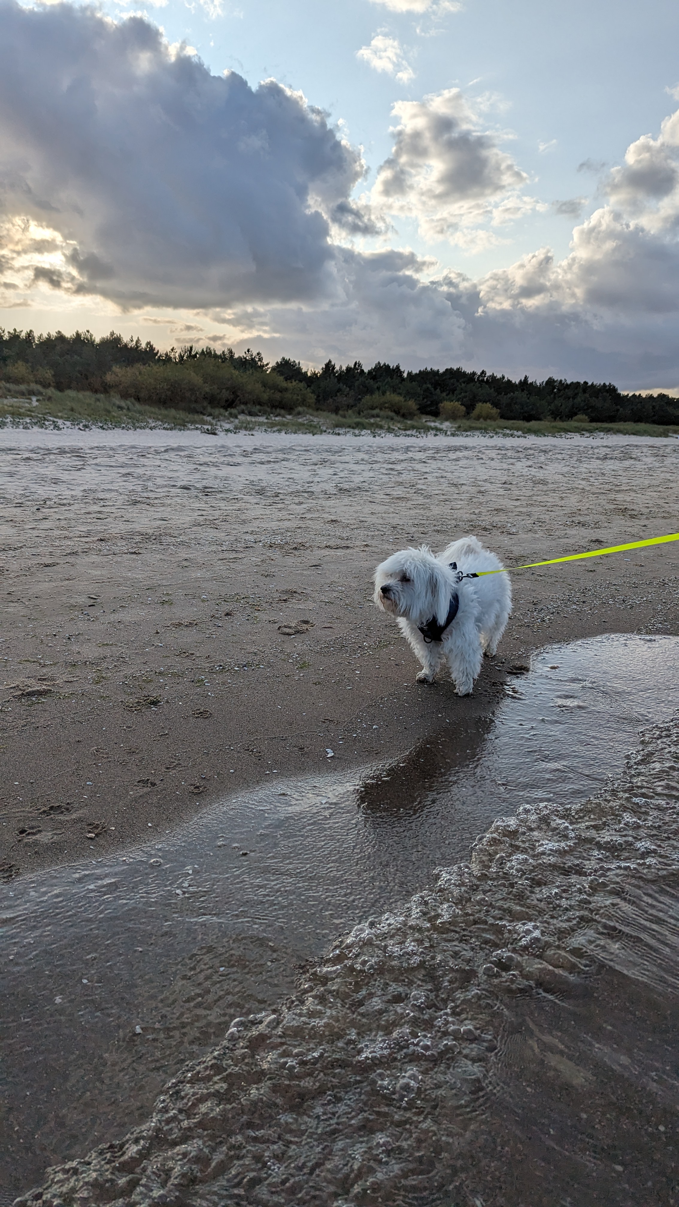 Swinemünde Strand