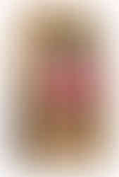 WESTHO Hundetrockenfutter PURE Rind & Kartoffel 12 kg