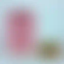 Tierliebhaber Kaninchen Menü
