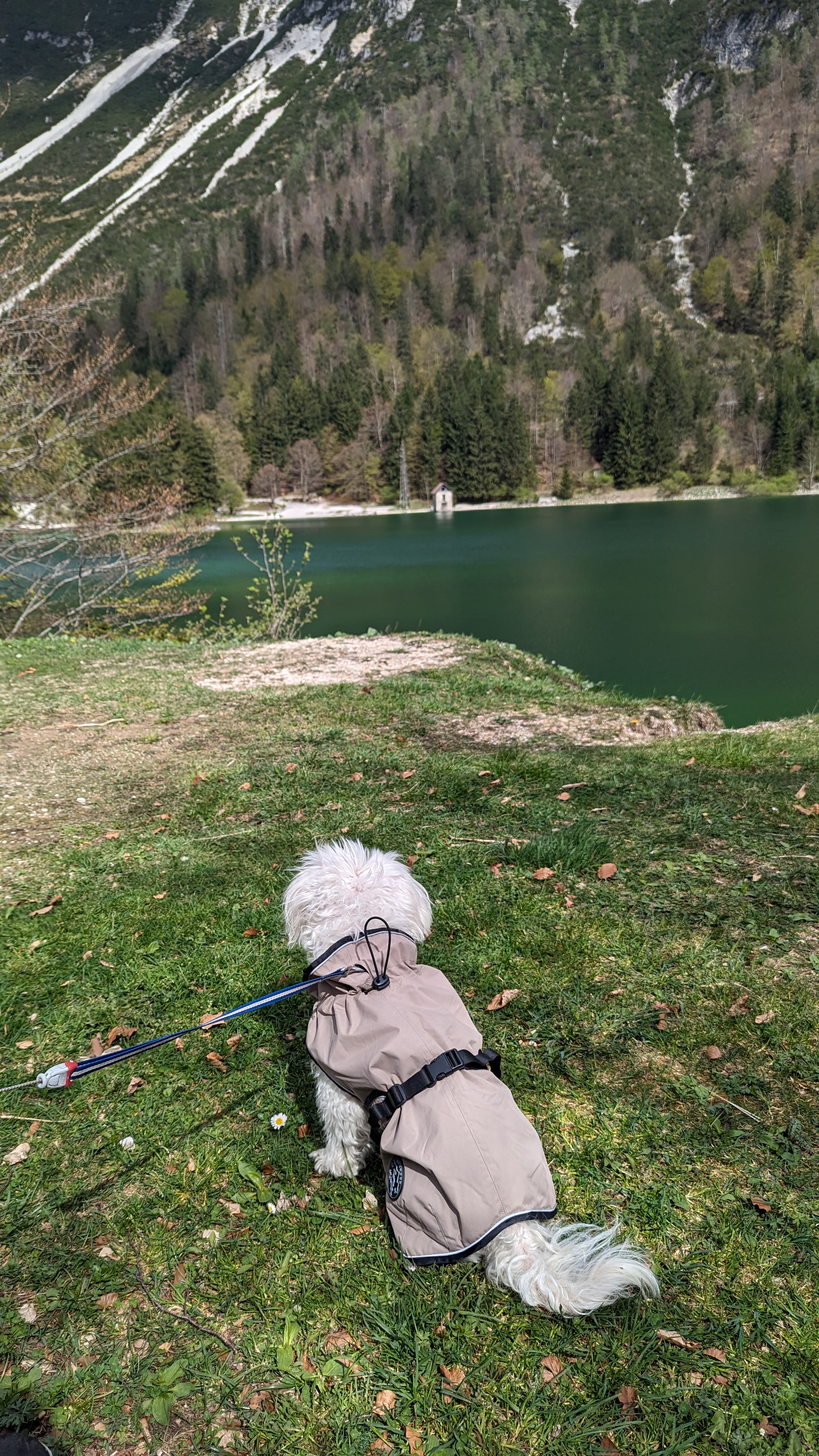 Lago del Predil