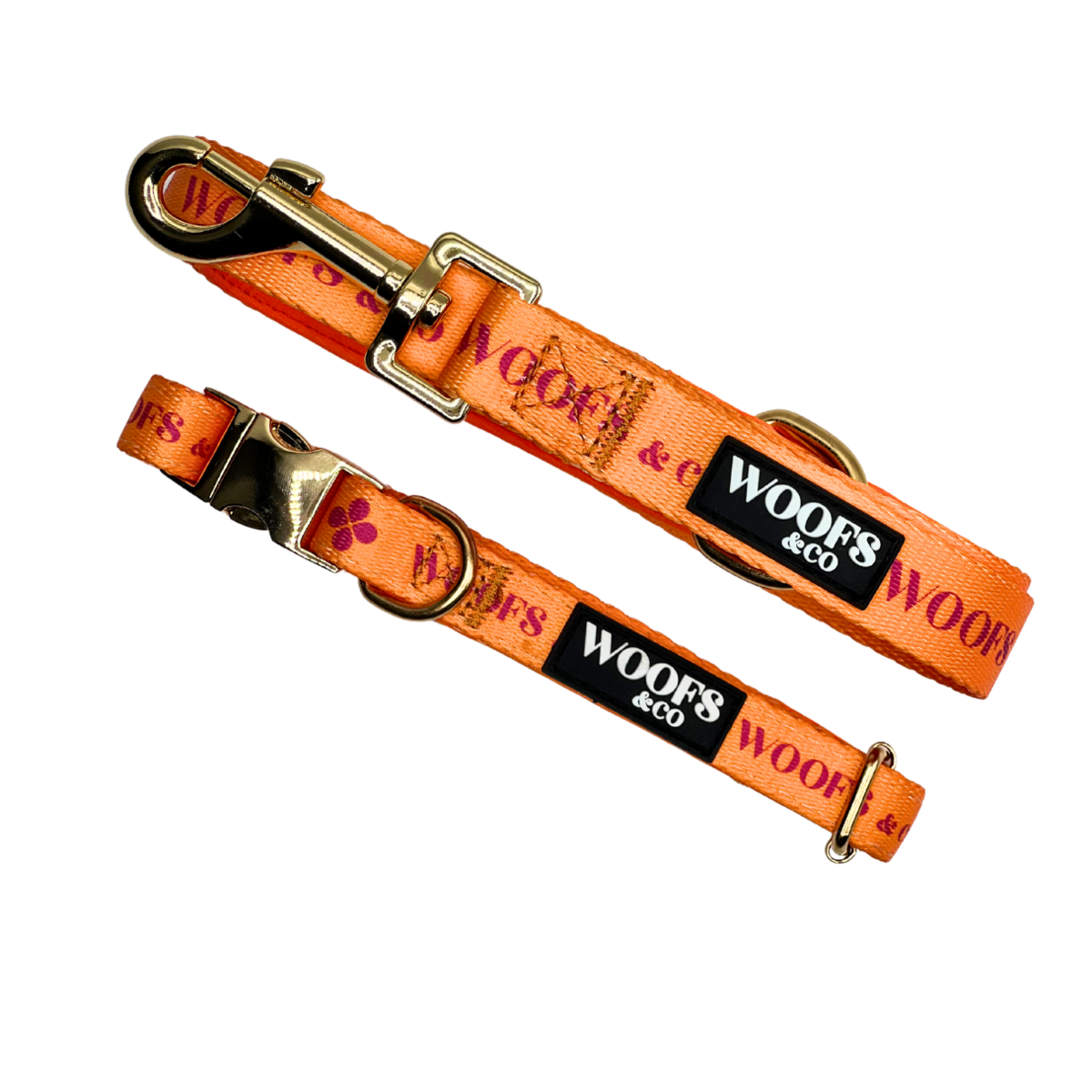 Hundehalsband & Hundeleine Orange Clover