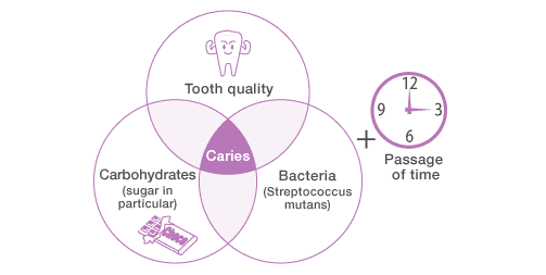 Critical factors creating dental caries