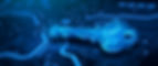vecteezy_security-or-private-key-protecting-data-personal_6713670.jpeg