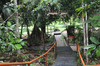 IMG-20190518-WA0108.jpg