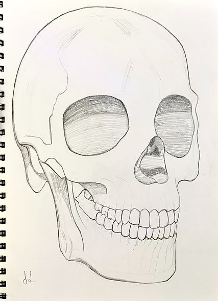 Skeleton Drawing_edited.jpg