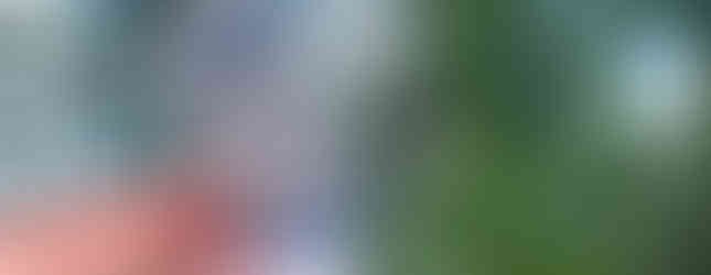 Hand holding up samples of two transparent stickers