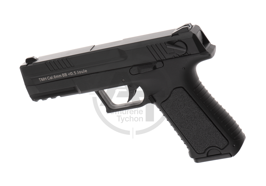 Miniature : CM127 Advanced AEP