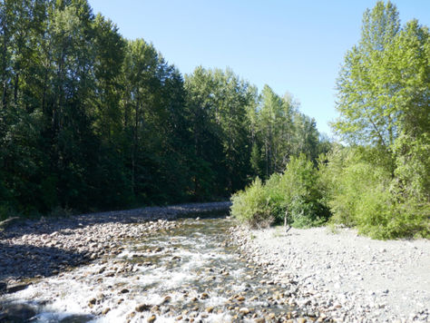 First Time at Top Bridge Park for Plein Air