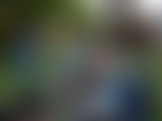 Summer Plein Air 2018